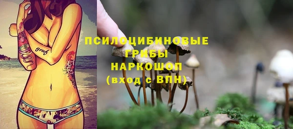 дмт Волоколамск
