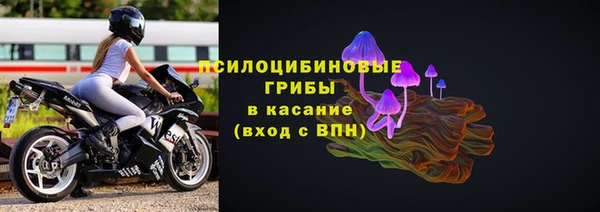 прущая мука Верея