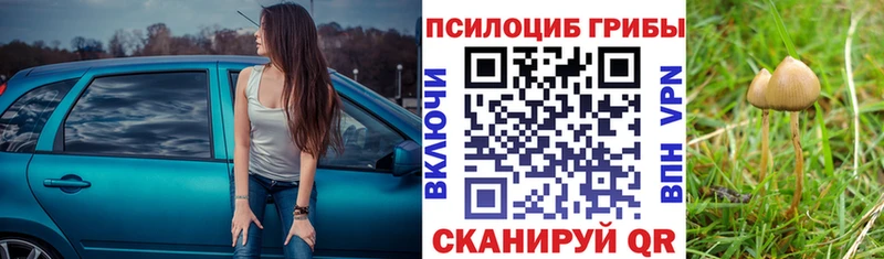 гидра ссылка  Южа  Галлюциногенные грибы мухоморы 